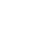 mansour